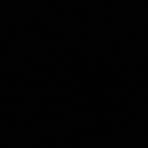 Meet your Posher, Molly - Picture 1 of 1